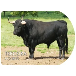 MAGNETICO ABRE CAPSULAS