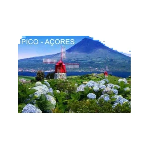 MAGNETICO FOTO - PICO