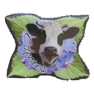 MAGNETICO VACA/HORTENSIA VITRIFICADO