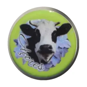 MAGNETICO VACA/HORTENSIA VITRIFICADO