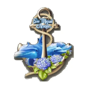 MAGNETICOS PERSONALIZAVEIS MDF