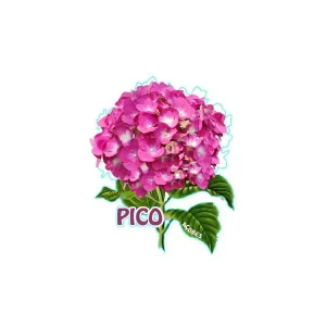 MAGNETICOS PERSONALIZAVEIS MDF