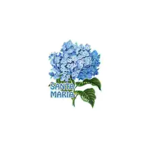 MAGNETICOS PERSONALIZAVEIS MDF