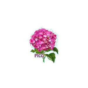 MAGNETICOS PERSONALIZAVEIS MDF