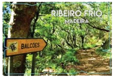 Magneticos Personalizaveis MDF Simples