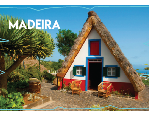 Magneticos Personalizaveis MDF Simples