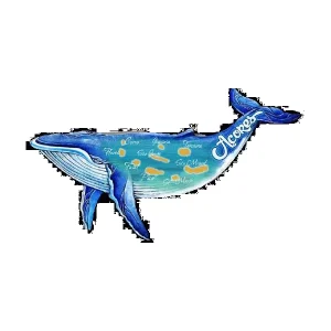 MAGNETICOS PERSONALIZAVEIS MDF