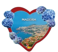 Magneticos Personalizaveis MDF 2D