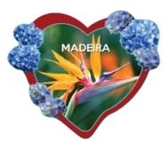 Magneticos Personalizaveis MDF 2D