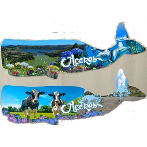 PLACAS PERSONALIZAVEIS MDF