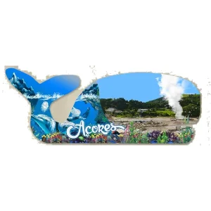 PLACAS PERSONALIZAVEIS MDF