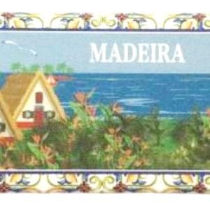 Magneticos Chapa Madeira