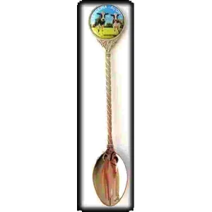 COLHER C/ CX SANTA MARIA