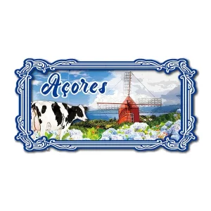 MAGNETICOS EM MADEIRA AÇORES