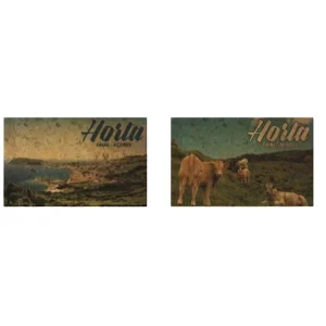 MAGNETICOS CORTIÇA HORTA AÇORES