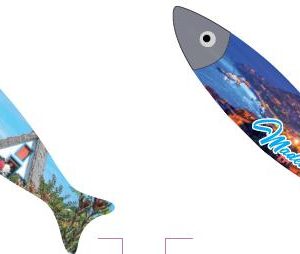 Magneticos Porcelana