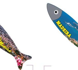 Magneticos Porcelana