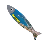 Magneticos Porcelana