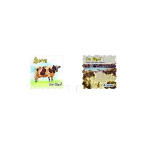 MAGNETICOS PORCELANA AÇORES