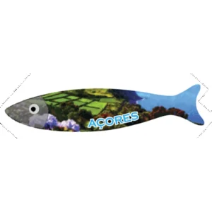 MAGNETICOS PORCELANA AÇORES