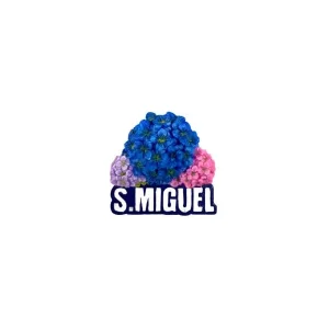 MAGNETICOS S. MIGUEL