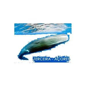 MAGNETICOS PERSONALIZAVEIS MDF SIMPLES