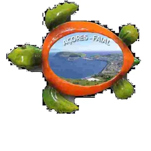 MAGNETICOS PERSONALIZAVEIS