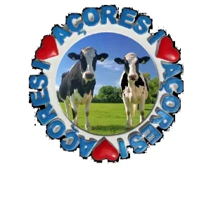 MAGNETICOS PERSONALIZAVEIS