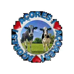 MAGNETICOS PERSONALIZAVEIS