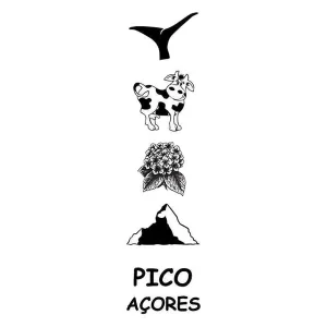 MARCADOR LIVRO PICO