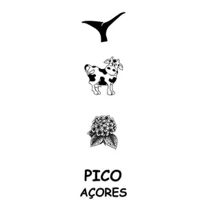 MARCADOR LIVRO PICO