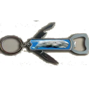 P. Chaves C/ Abre Cap Personalizavel