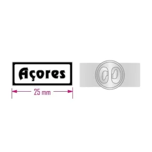 PIN´S AÇORES