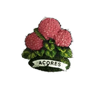 MAGNETICOS HORTENSIAS