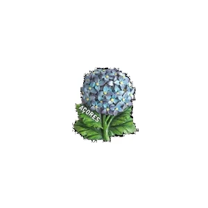 MAGNETICOS HORTENSIAS