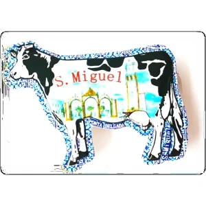 MAGNETICOS S. MIGUEL