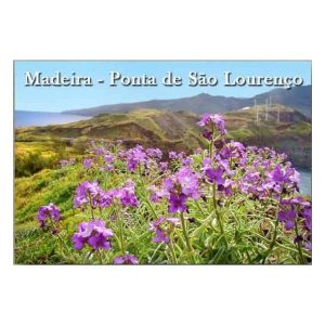 MAG. FOTO